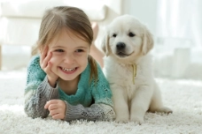 Pack Mascota