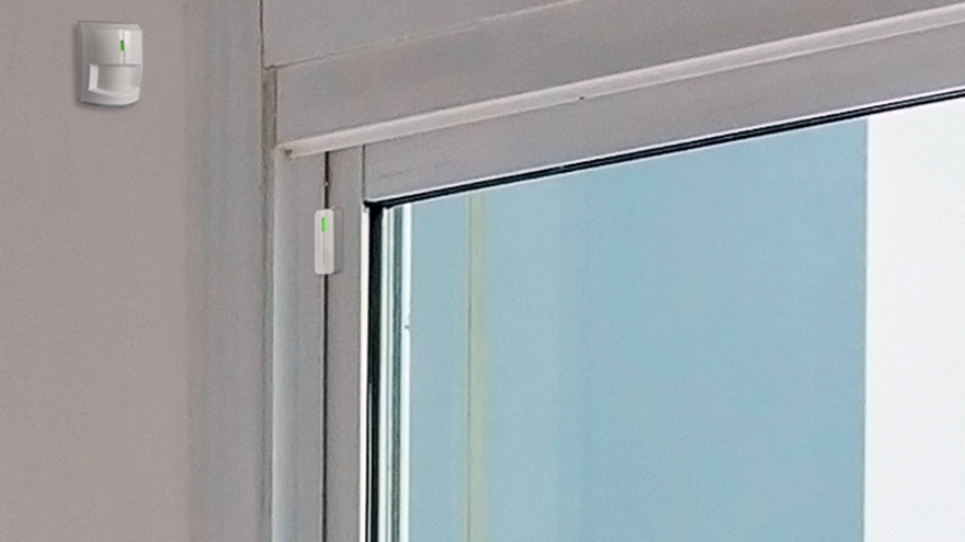 ventana_seguridad