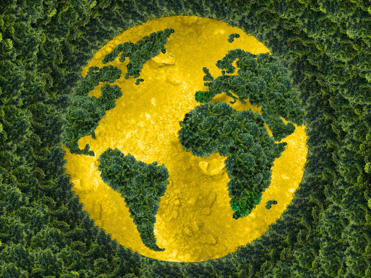 logistica verde