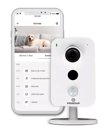 Sensores de movimiento Sensores de movimiento compatible con mascotas: Tecnología PetReady