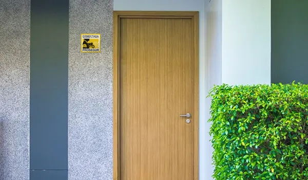 pared_placa pared_placa